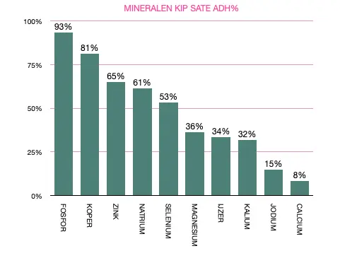 mineralen kip sate.webp
