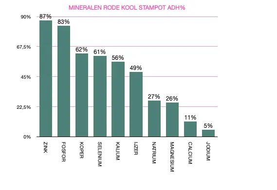 mineralen rode kool stampot.webp